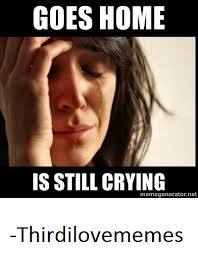 Crying+girl+meme+lol+i+love+the+crying+girl+meme_fdcd00_4356100.png via Relatably.com