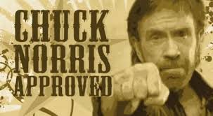 Image result for chuck norris action scene