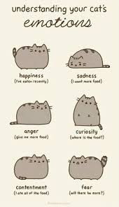 Pusheen on Pinterest | Cats, Cat Food and Clarinets via Relatably.com