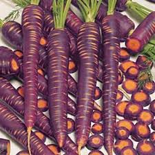 Resultado de imagen de zanahorias moradas o violetas