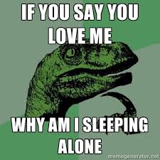If you say you love me Why am I sleeping alone - Philosoraptor ... via Relatably.com