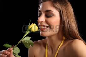 Displaying <18> Images For - Beautiful Single Yellow Rose.