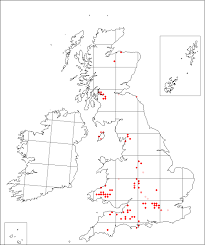 Paeonia officinalis | Online Atlas of the British and Irish Flora
