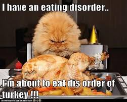 Memes Vault Funny Thanksgiving Cat via Relatably.com