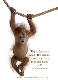 Funny Monkey Quotes And Sayings. QuotesGram via Relatably.com