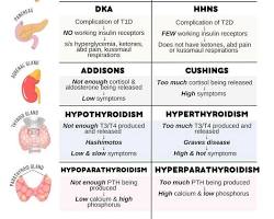 Image of Endocrine disorders