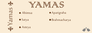 Image result for eight limbs of ashtanga yoga