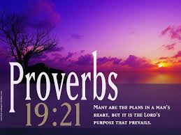 Image result for Gods purpose for me picture