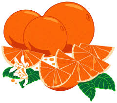 As laranjas -artigo de VM nunca é demais informar que Portugal foi pioneiro a divulgar esta fruta Images?q=tbn:ANd9GcQXG7CLp6Ik13qkFoyBDWETHoBjVZ56FHU4mkGLgHzpYUuhTYPFJoWd--26