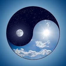 Image result for yin and yang