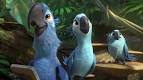 rio 2 cast parrots talking and singing palace