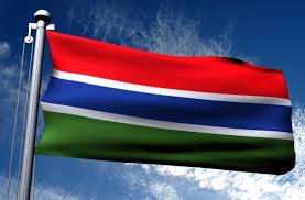 Image result for gambia flag