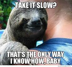 30 Greatest Sloth Memes, Gifs, And Comics | WeKnowMemes via Relatably.com