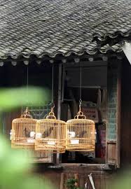 Image result for 心灵旷野