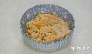 Homemade Tuna and Shrimp Dog Food Recipe (High Anti-oxidants ...