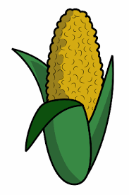 Image result for ear of corn cartoon