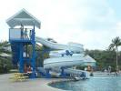 Image result for turtle farm waterslide