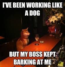 I&#39;ve been working like a dog But my boss kept barking at me ... via Relatably.com