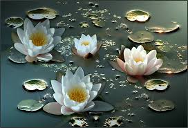 Resultado de imagen para flores loto