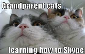 Image result for funny animal pictures