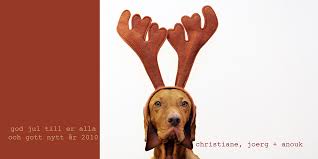 weihnachtsgruesse - Bild \u0026amp; Foto von joerg ploesser aus Hunde ... - weihnachtsgruesse-42ab5597-b3c6-4fa2-a9d6-10476bae61b2