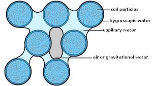 Image result for capillary water