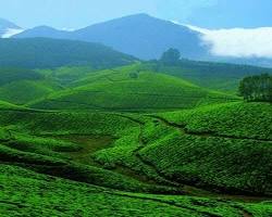 Wayanad hills in Kerala