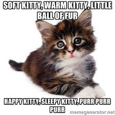soft kitty, warm kitty, little ball of fur happy kitty, sleepy ... via Relatably.com