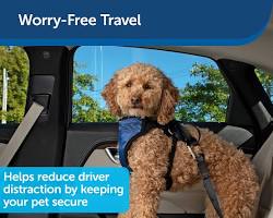 PetSafe Happy Ride Dog Seat Belt