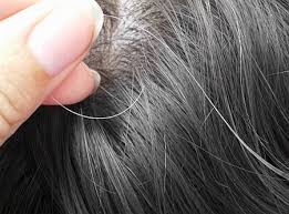 Image result for Does plucking make hairs grow back thicker or in greater quantities