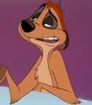 Image result for timon in the house