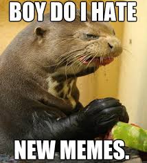 ornery otter memes | quickmeme via Relatably.com