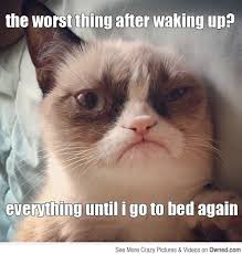 Good Morning Grumpy Cat Meme - good morning grumpy cat meme also ... via Relatably.com