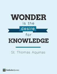 Catholic Fire My Favorite St Thomas Aquinas Quotes | Best Quotes ... via Relatably.com