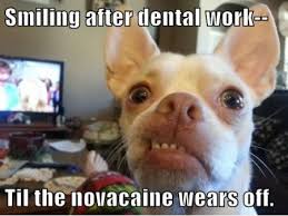 FunniestMemes.com - Funny Memes - [Smiling After Dental Work] via Relatably.com