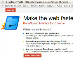 PageSpeed Insights Chrome extension