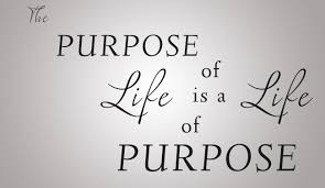 Image result for how to know your purpose of living