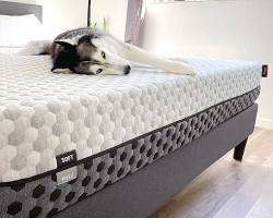 Image of Layla mattress
