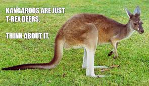 Supreme 10 trendy quotes about kangaroo photo French | WishesTrumpet via Relatably.com
