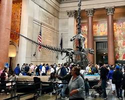 Muzeum Historii Naturalnej w Nowym Jorku