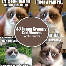 40 Funny Grumpy Cat Memes via Relatably.com