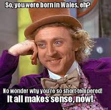 Meme Maker - So, you were born in Wales, eh? No wonder why you&#39;re ... via Relatably.com