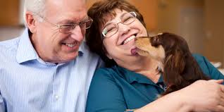 Image result for dogs & the elderly
