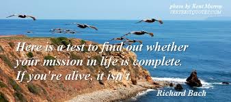 Richard Bach quote about mission in life - Inspirational Quotes ... via Relatably.com