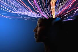 Image result for Images the computer wired brain