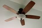 Hunter Regalia Ceiling Fan -