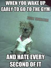 FUNNY EARLY MORNING WORKOUT QUOTES image quotes at relatably.com via Relatably.com