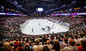 Sale Of Arizona Coyotes Formally Approved By Board Of Governors