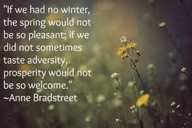 Anne Bradstreet Quotes If You Had No Winter. QuotesGram via Relatably.com