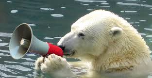 Résultat de recherche d'images pour "ours polaire"